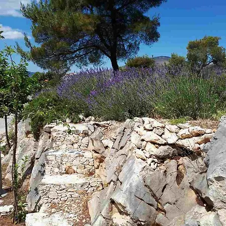 Filip Guest house 3*